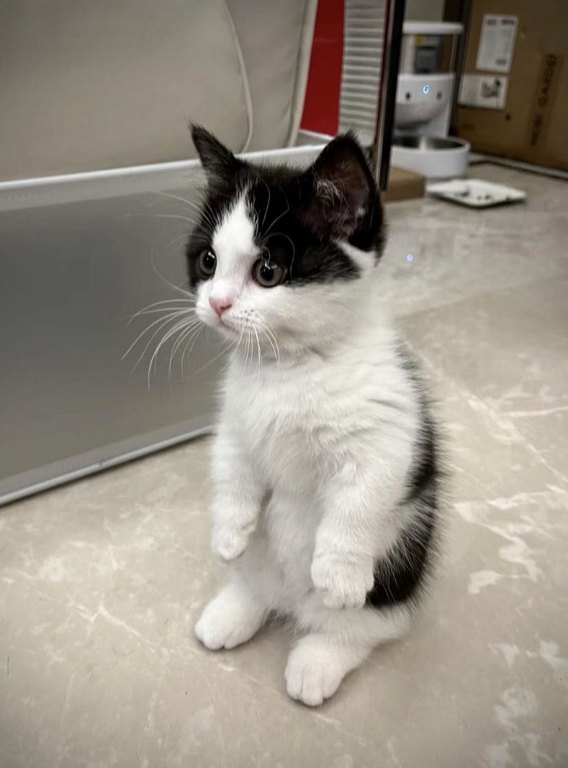 Hum_Blippo's tweet image. wuooauhh. .. das aa lawts ov t unna…