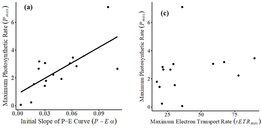 JLDudycha's tweet photo. I’m pleased to announce that Jake’s paper on variation of #photosynthesis across #Cryptophytes is now out in Ecosphere! We quantified PS parameters, thinking about light capture as a resource acquisition problem, and found no evidence of evolved trade-offs. (1/5) https://t.co/5loWVfPsTf