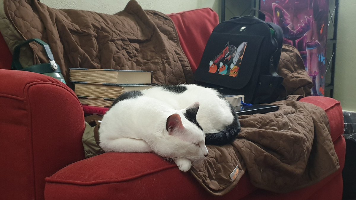 SleepyHallowo's tweet photo. Son appreciation post https://t.co/X3FwiWQSqd