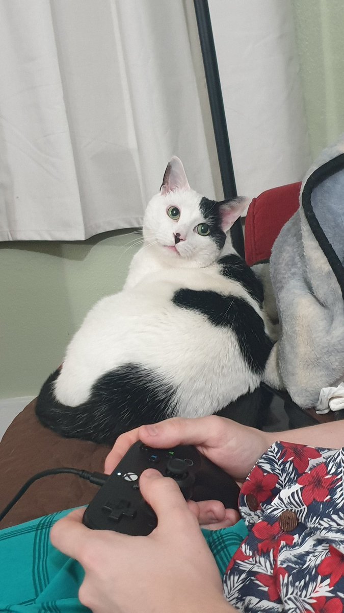 SleepyHallowo's tweet photo. Son appreciation post https://t.co/X3FwiWQSqd