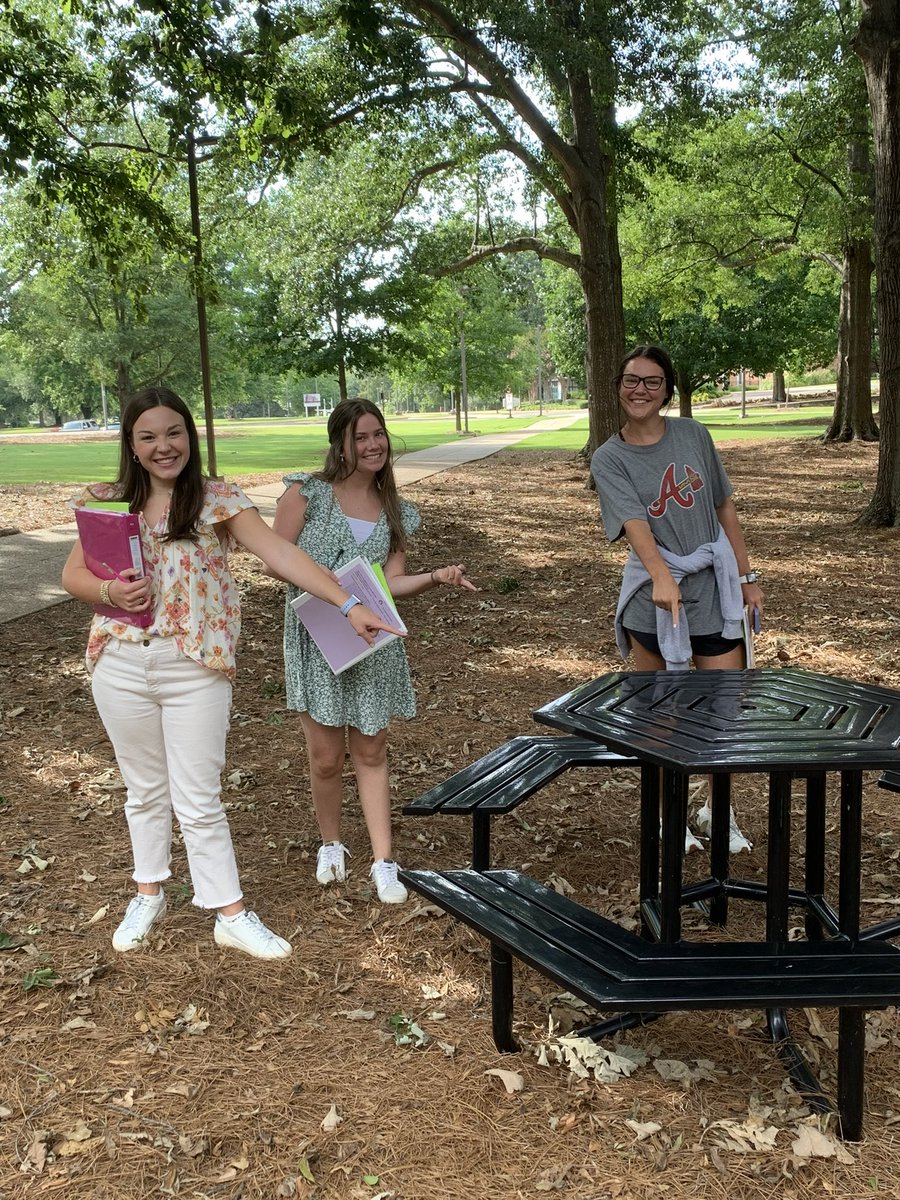 MSU Elementary Education tweet media