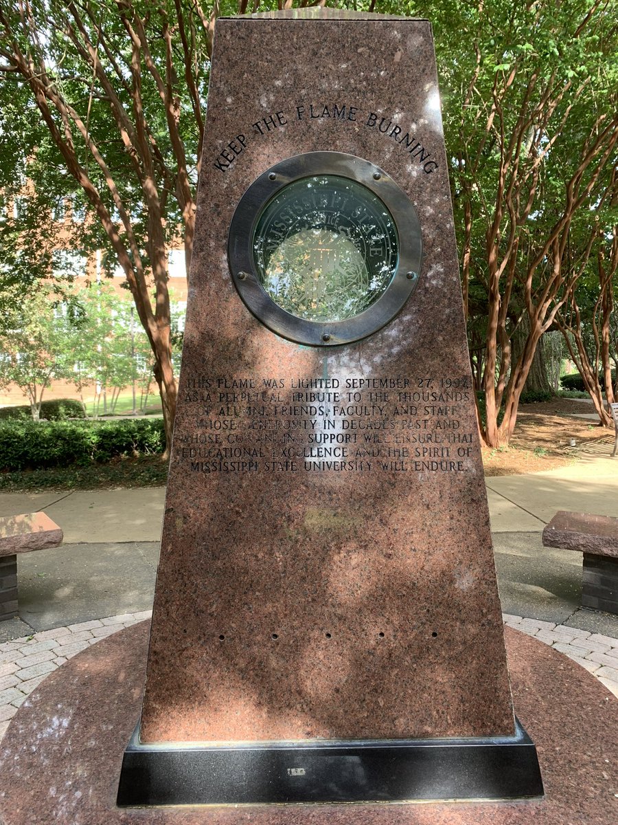 MSU Elementary Education tweet media