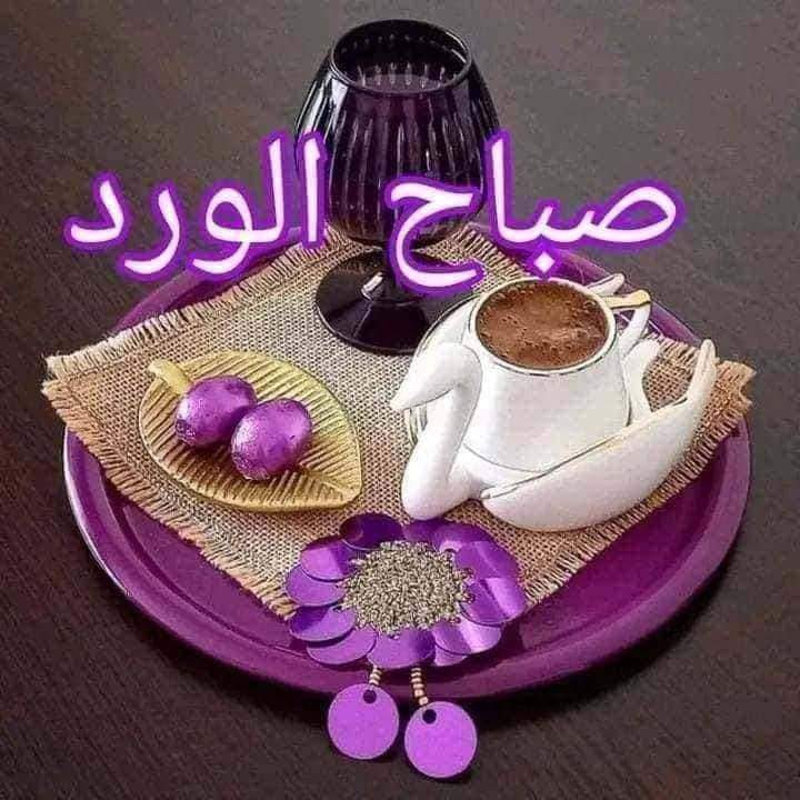 LailaHamad15's tweet photo. @mcfFQflRs58fPC1 https://t.co/P9AMsbATTn