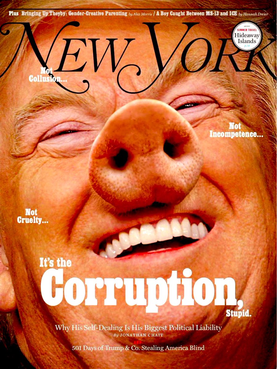 BullTweeting's tweet photo. You can put a bandage on a pig,
But…? https://t.co/9hBvW8wWth