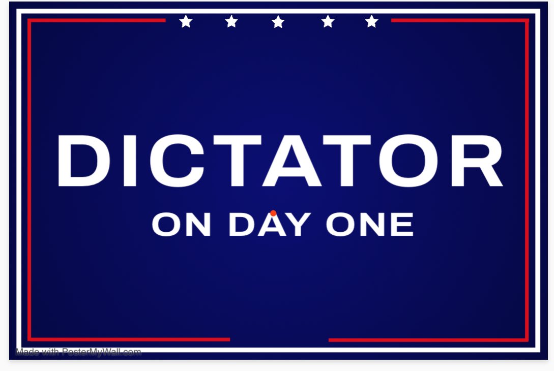 signprotest's tweet photo. A reminder to get Trump's anti-democratic agenda out there.🏴‍☠️ #VoteBlue https://t.co/62arI8qXqg