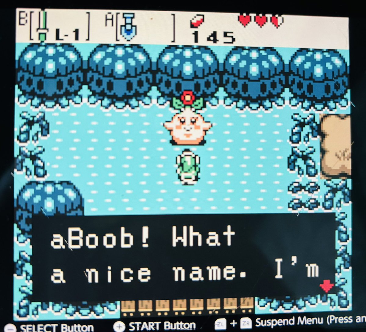 omgava's tweet photo. I would die for her 

#Zelda #oraclesofages #nintendo https://t.co/NWkmsExjjz