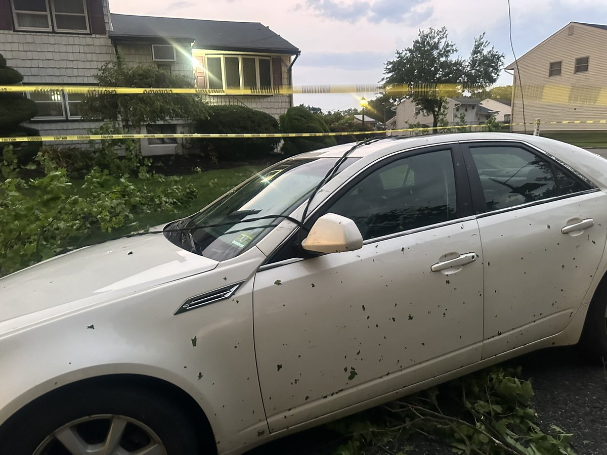 naveencbs2ny's tweet photo. High winds cause trees and power lines to come crashing down in Woodbridge, NJ @CBSNewYork https://t.co/P1IoagxD2I