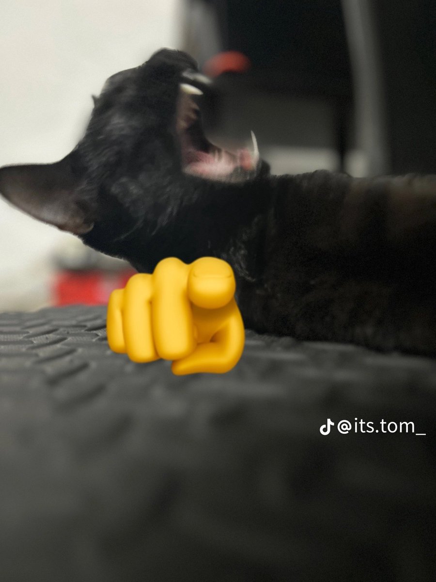 yutiegamin tweet media