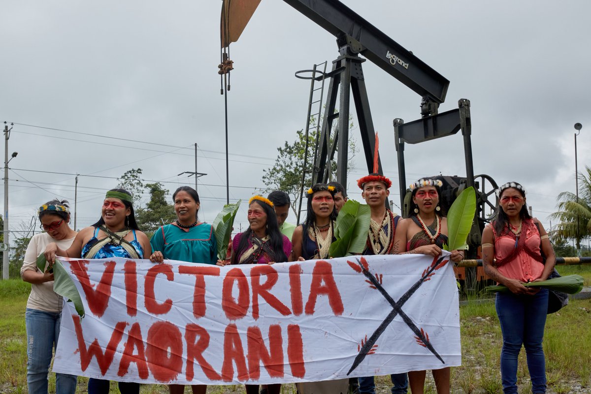 WaoResistencia's tweet photo. Exigimos que la @CorteConstEc emita #SentenciaYa y que las medidas de reparación que se establezcan para las comunidades #Waorani de #Pastaza, se amplíen a favor de las siete nacionalidades indígenas de la #AmazoníaEcuatoriana, afectadas.
¡#NuestrosTerritoriosNoEstánEnVenta! https://t.co/aj4ID7ykVR