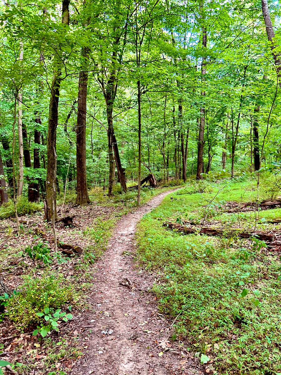 Great training run tonight at White Oak Park on hot hazy evening. Lots of runners, hills, trails, and sweat. Less than a month until the real show begins!