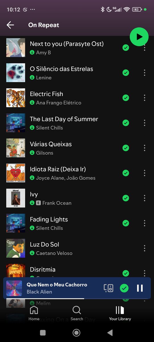 Ⅿⅰⅽhelotto 2legs 🦵🏽🦵🏽 (@2legsmichelotto) on Twitter photo 