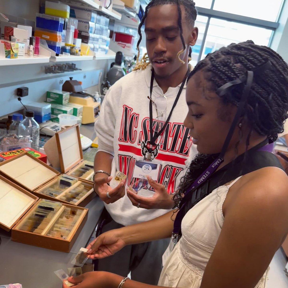 Michelle Itano tweet media