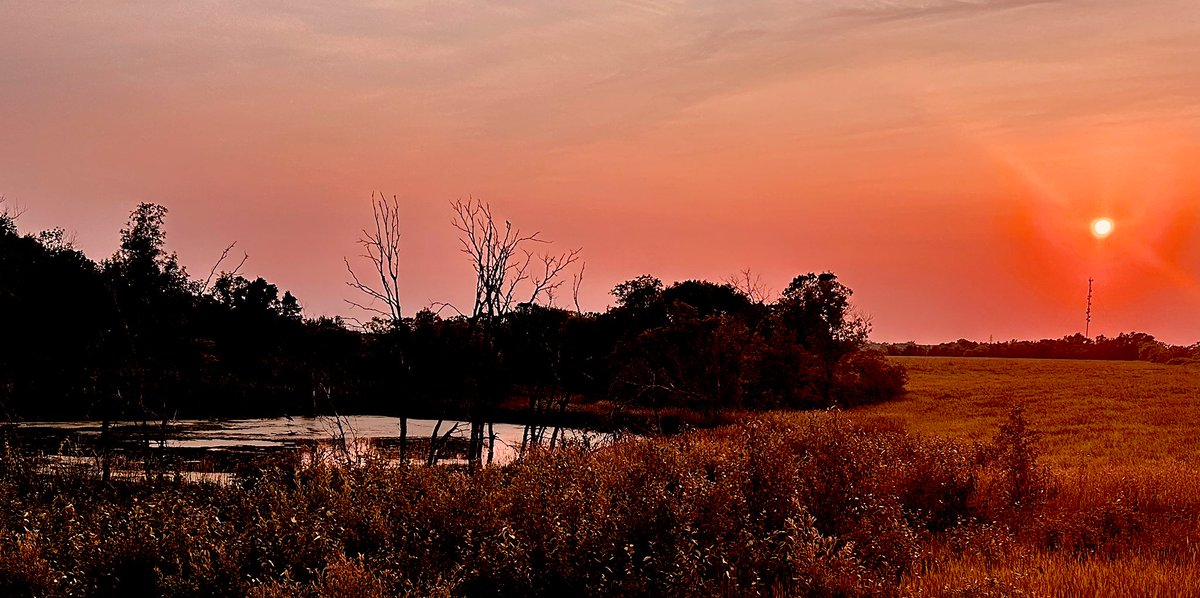 chase_the_high's tweet image. 