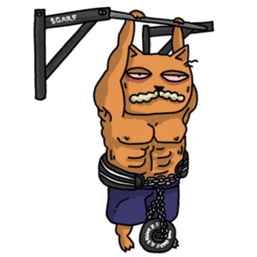 $GARF community getting stronger 🏋️
