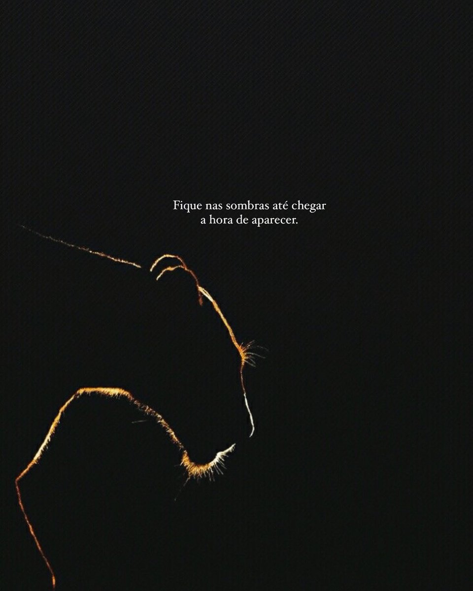 filosofia de poder (@mensagemdepoder) on Twitter photo 