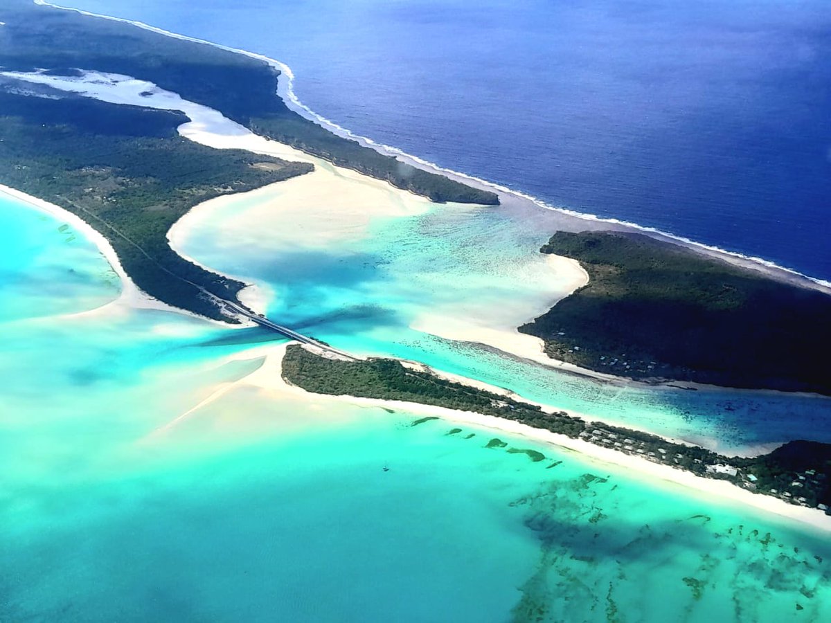 Anthony °° Tejero tweet media