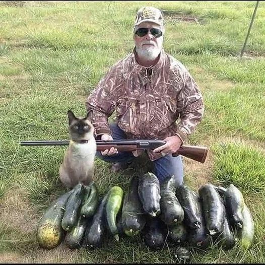 Opening day of zucchini season