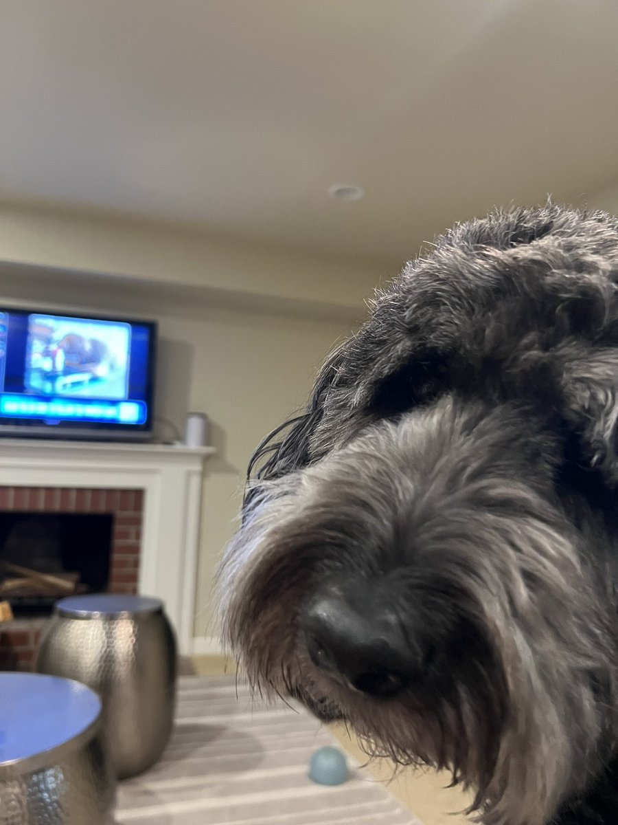 Gus enjoying the AltCast for the #TWG <a href="/WomensGameMIB/">The Women's Game</a>