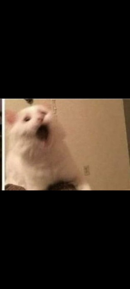 KFC患者 tweet media