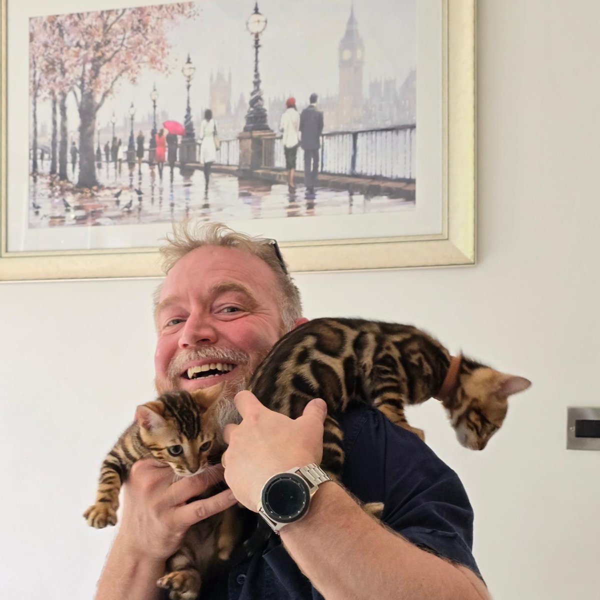 A large portion of this week so far has involved the photography of many Bengal cats 😻

Also, cuddles!

#petphotography #catphotography #bengalcat #bengalcats #studiophotography