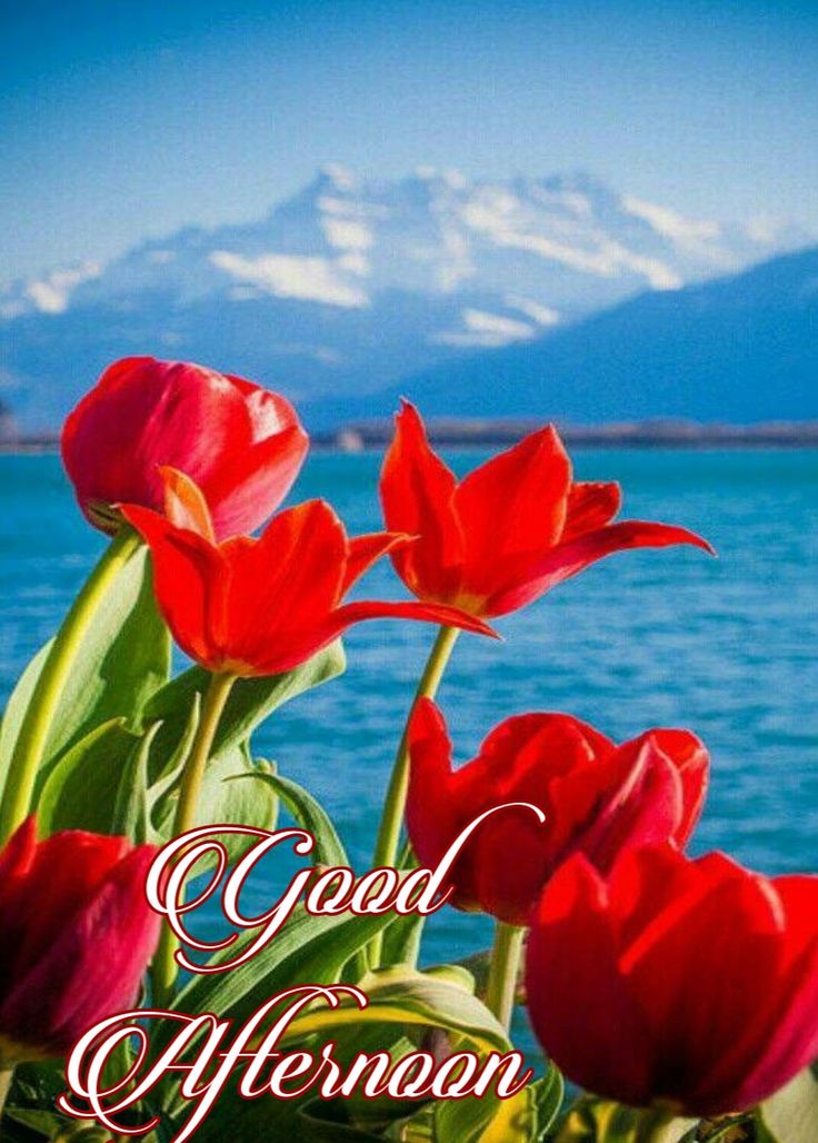 #السلام_عليكم_ورحمة_الله_وبركاته 

#Good Afternoon