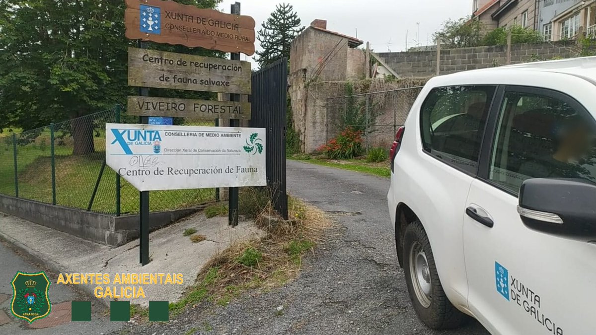 APRAFOGA's tweet photo. O anelamento d aves é unha das ferramentas coas que contamos para obter datos científicos d poboacións salvaxes e poder xestionalas de cara á súa conservación. Grazas á colaboración cidadá, recuperouse o cadáver dunha rapaz q se traslada o correspondente #CRFS onde será examinado https://t.co/0W2CotO8pV