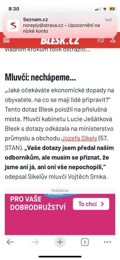 Obrázek