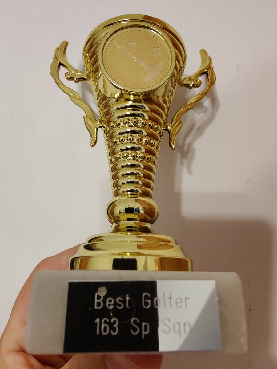 A career highlight - delighted to add 254 MMR 163 Sp Sqn best mini golfer to my CV.