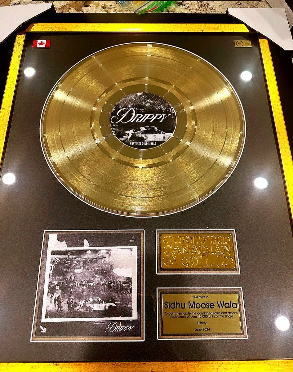 Punjabihitzz's tweet image. Certified 🇨🇦 Gold  for  track &quot;Drippy&quot;
Within just 4months  👏 Marvellous 

Sidhu Moosewala / AR.Paisley 

#SidhuMoosewala 
#JusticeForSidhuMoosewala