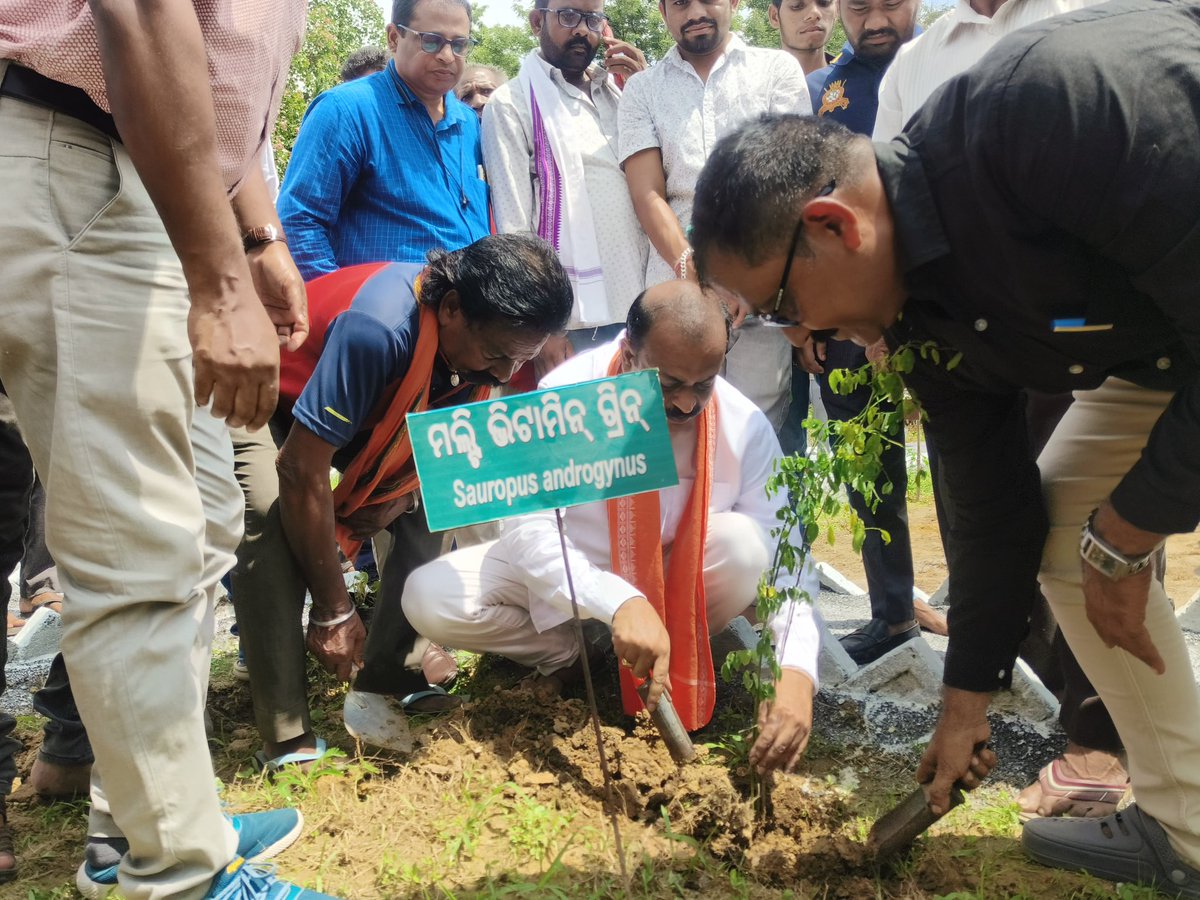 ashwiniksarangi's tweet photo. ବରଗଡ଼ ବିଧାନସଭା ନିର୍ବାଚନ ମଣ୍ଡଳୀ ଅନ୍ତର୍ଗତ ଗାଈସୀମା ଗ୍ରାମରେ ଥିବା ସରକାରୀ ଆୟୁର୍ବେଦ ଚିକିତ୍ସାଳୟ ପରିସରରେ ଧନ୍ବନ୍ତରୀ ଭେଷଜ ଉଦ୍ୟାନ ଓ ବାବା ବାଲଙ୍କେଶ୍ବର ଫଳ ଉଦ୍ୟାନ ଉଦଘାଟନ ଉତ୍ସବରେ ମୁଖ୍ୟ ଅତିଥି ରୂପେ ଯୋଗଦେଲି।
@BJP4Odisha
#bargarhconstituency #odisha #jansampark #janmabhoomi #nativevillage #ayurveda https://t.co/58iv1R7rV5