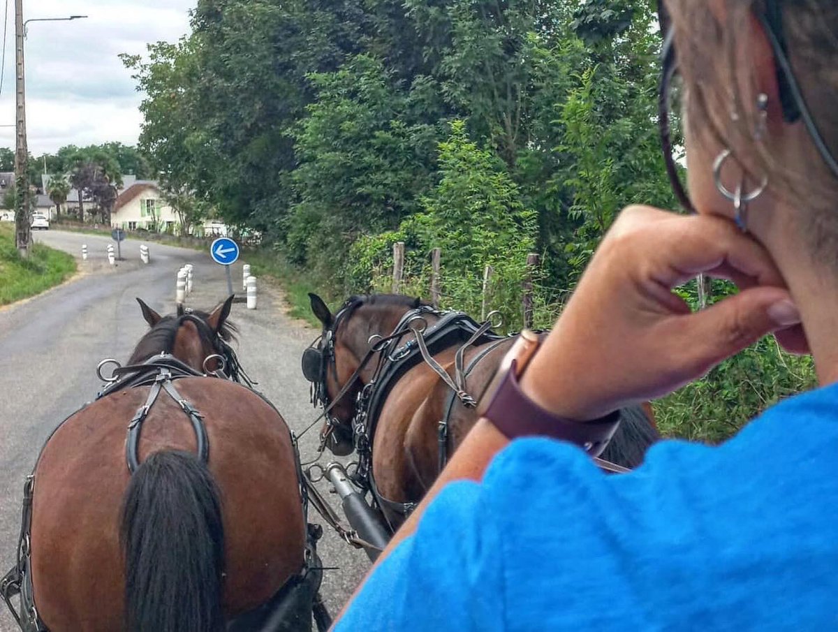 Oloron_pat's tweet photo. Retour en images sur la visite en calèche du quartier Legugnon avec les Écuries d’Arnago 🐴😍

#oloron #oloronpatrimoine #visite #caleche #quartiersdété https://t.co/Dgcb4uIdEa