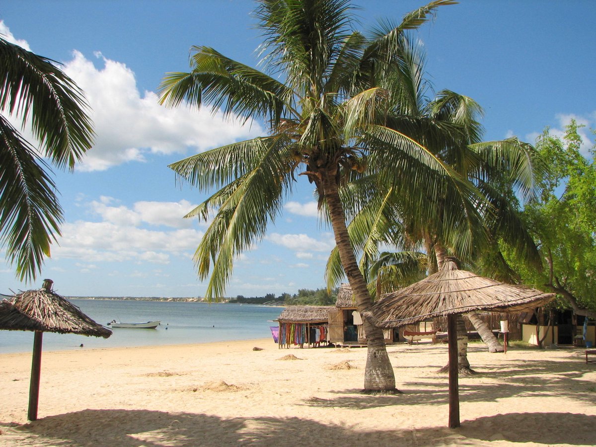 MarGomezH's tweet photo. Madagascar es la cuarta isla más grande del mundo y alberga el 5% de las especies de animales y plantas del planeta, ¡muchas de las cuales no se encuentran en ningún otro lugar! Los lémures son únicos en Madagascar.
¿Te gustaría visitarlo? https://t.co/APhCm5BGS2