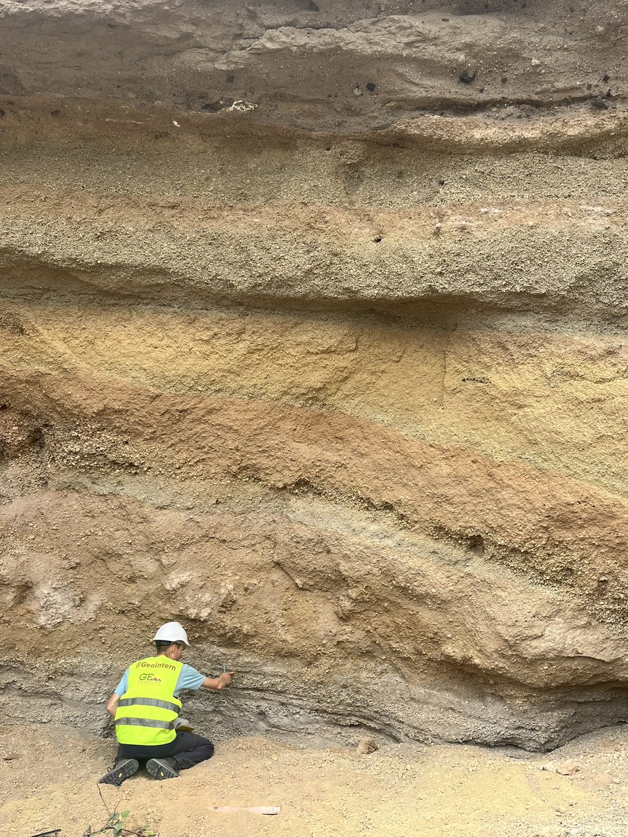 Danielle McLean tweet media