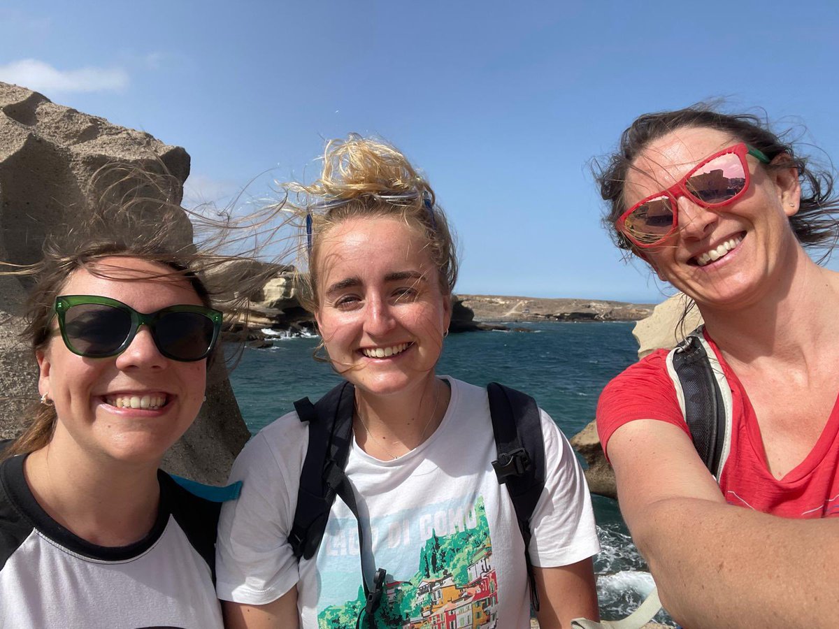 Danielle McLean tweet media