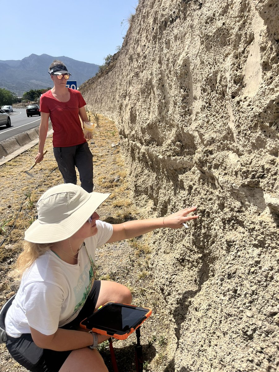 Danielle McLean tweet media