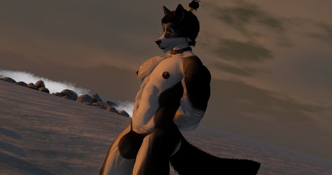 WHO LET ME TAKE PHOTOS AGAIN!? https://t.co/GXzynkgBP7<a href="/tag/nsfw"class="tags"><span>#nsfw</span></a><a href="/tag/secondlife"class="tags"><span>#secondlife</span></a><a href="/tag/furryart"class="tags"><span>#furryart</span></a><a href="/tag/furryphotography"class="tags"><span>#furryphotography</span></a>