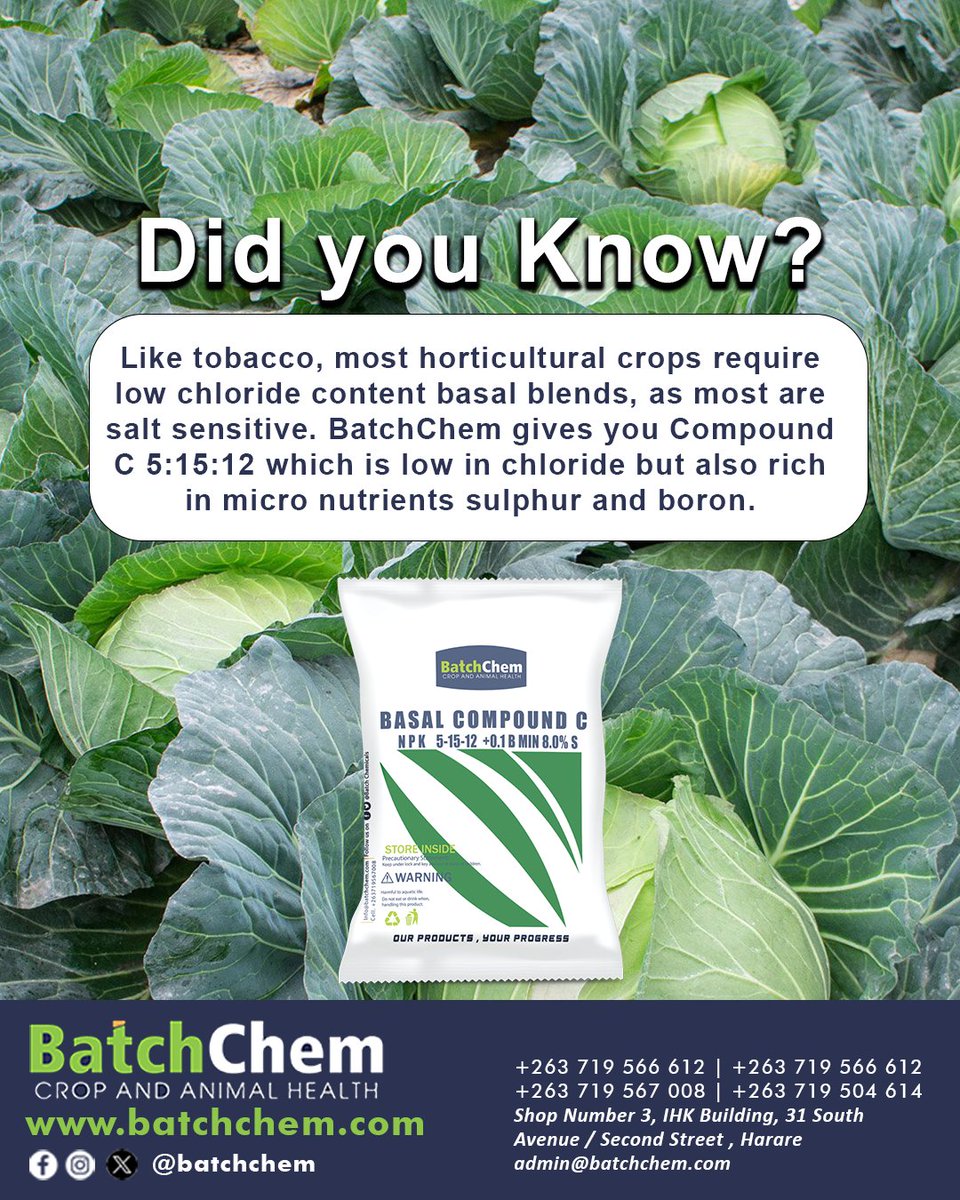 Compound C Available In 2kg, 5kg, 10kg, 50kg or Bulky From Us Or Any Retailer Close To You!

@followersWinpat
📍 31 South Avenue/Second Street, cbd, Harare.
📞 Chat with us on WhatsApp: wa.me/263719566612