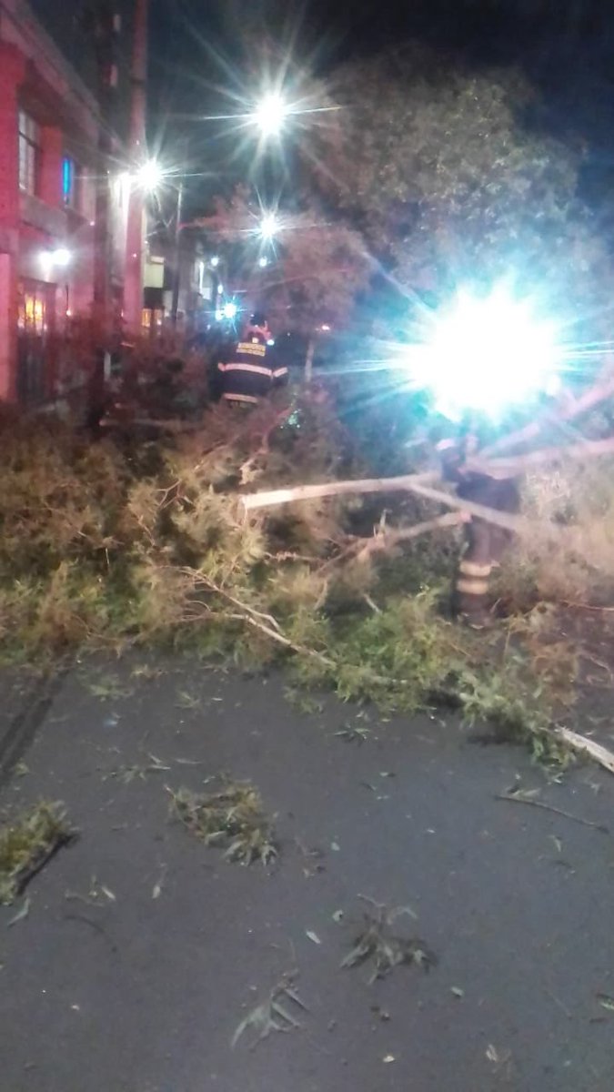 Bomberos_CDMX's tweet photo. Atendemos la caída de un árbol en calle Vía Láctea, colonia Prados Churubusco, en @Alcaldia_Coy. https://t.co/9Cm6nAZ5jU
