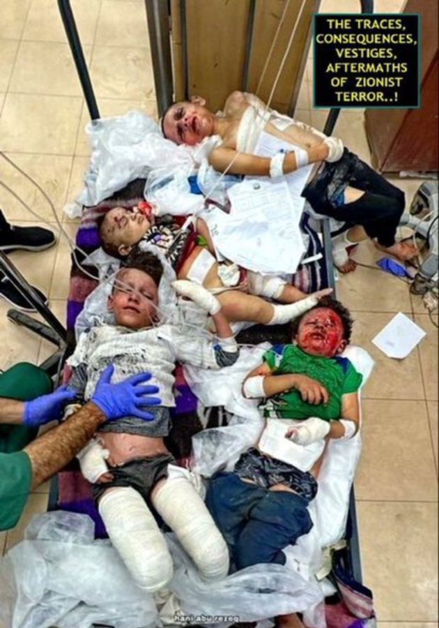 sarahArdogn's tweet photo. لعنه الله علي حاكم لم يحرك ضميره صراخ اطفال #غزة 💔
لعنة الله على أمة لم توقضها مجازر الصهاينة بحق إخوانهم في #غزة.

 #غزة_تُباد #انتحار_فتاه_بدون https://t.co/hXXNrHxjMe