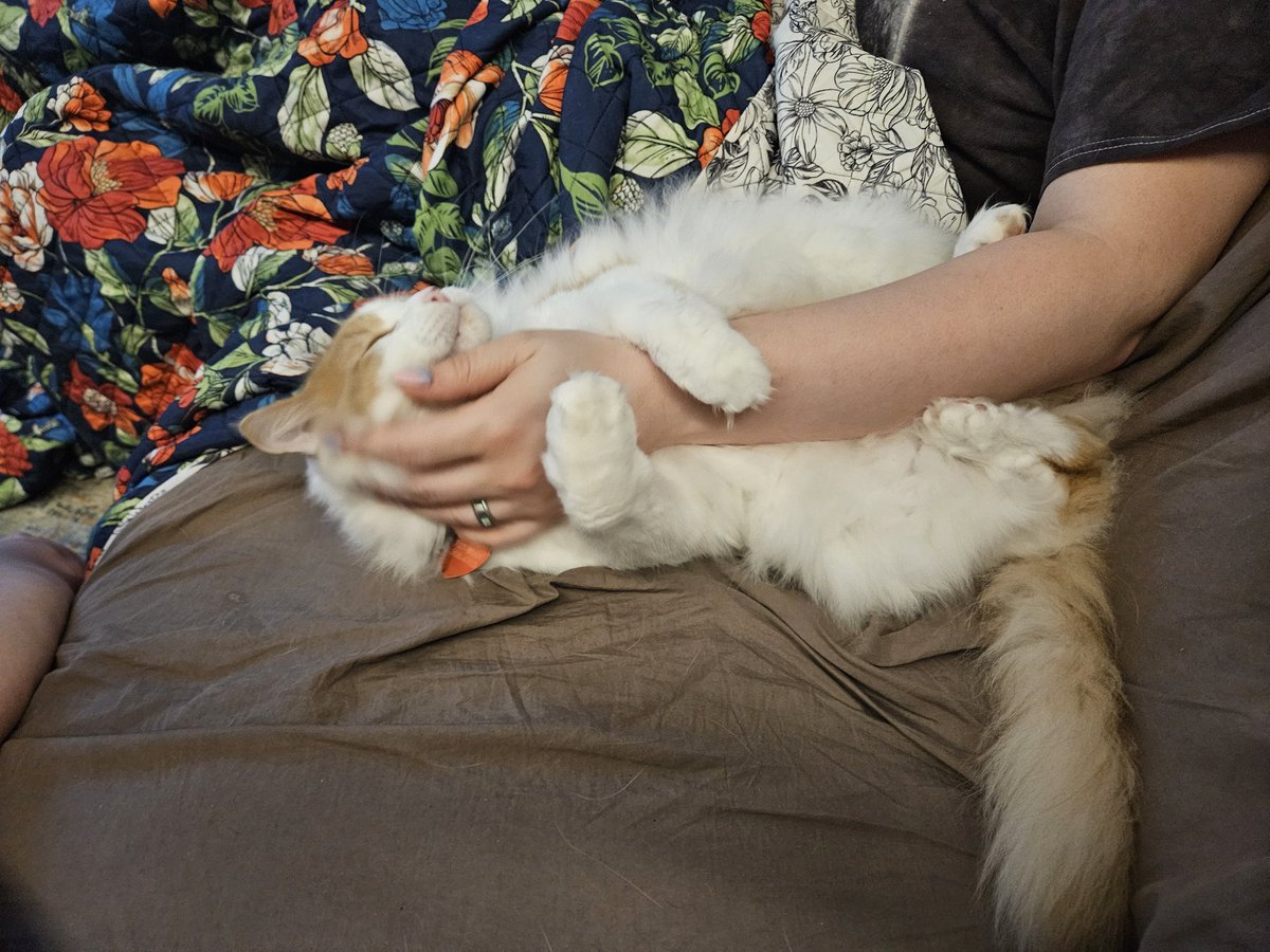 when yore mombs come bag from freakin forgor you and you never letting them go ever again