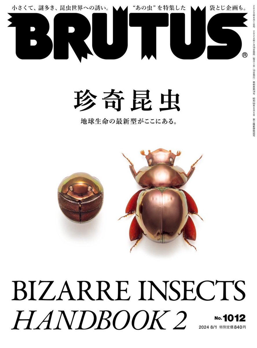 新着書籍】 BRUTUS最新号 「#珍奇昆虫」 むし社でも取り扱い開始しました✨