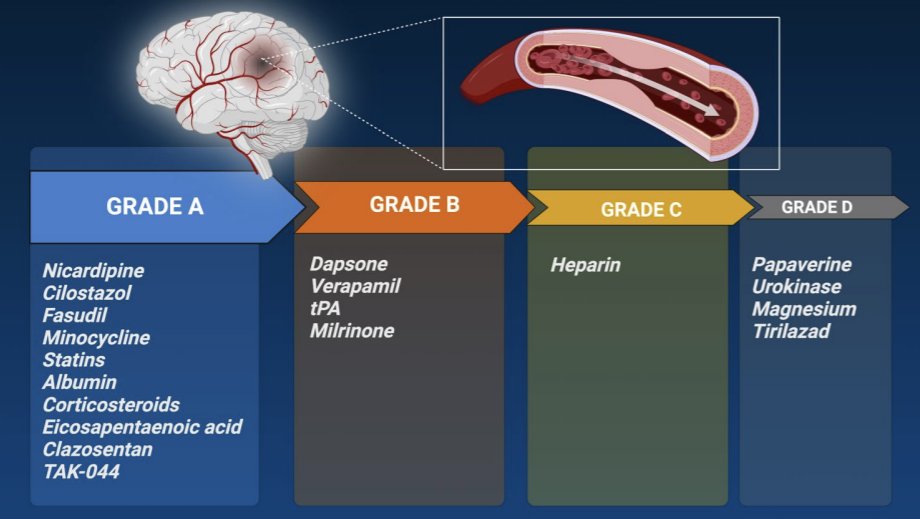 Beyond nimodipine: advanced neuroprotection strategies for aneurysmal subarachnoid hemorrhage vasospasm and delayed cerebral ischemia <a href="/neurocritical/">Neurocritical Care Society</a>

link.springer.com/article/10.100…