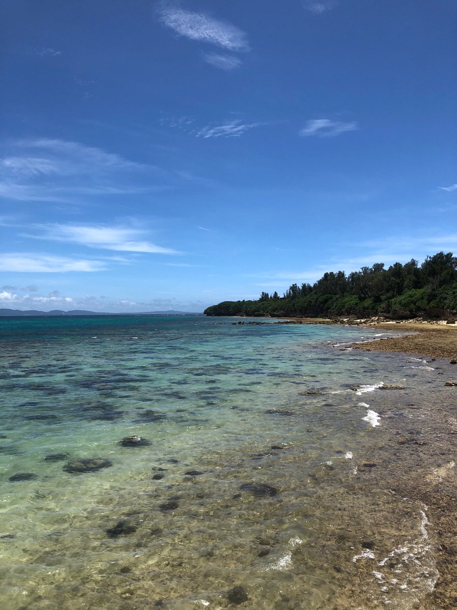 Hugh_Carter_'s tweet image. Finally packing up a small collection of #echinoderms from #Okinawa to ship back to @NHM_Science to cap off a successful few weeks of fieldwork in Japan!