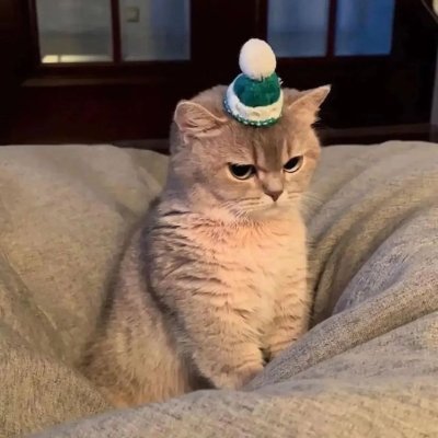 MemeFindor's tweet photo. @Regrets10x Some mfs sniped $GRUMP and thought they could kill the community - MF'S JUST MADE EM MORE GRUMPY

COMMUNITY IS REVERSING TO VALHALLA!
CA: CjbLGTG3bG48d1EfpgzYdngFJJxDBBPHVD3siCcTpump

$MICHI $BILLY https://t.co/juGi2J5LXw