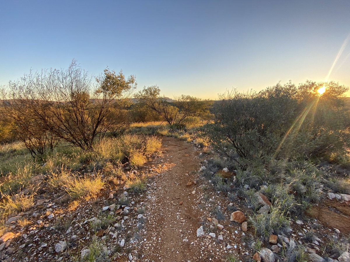 Rohan Barwick tweet media