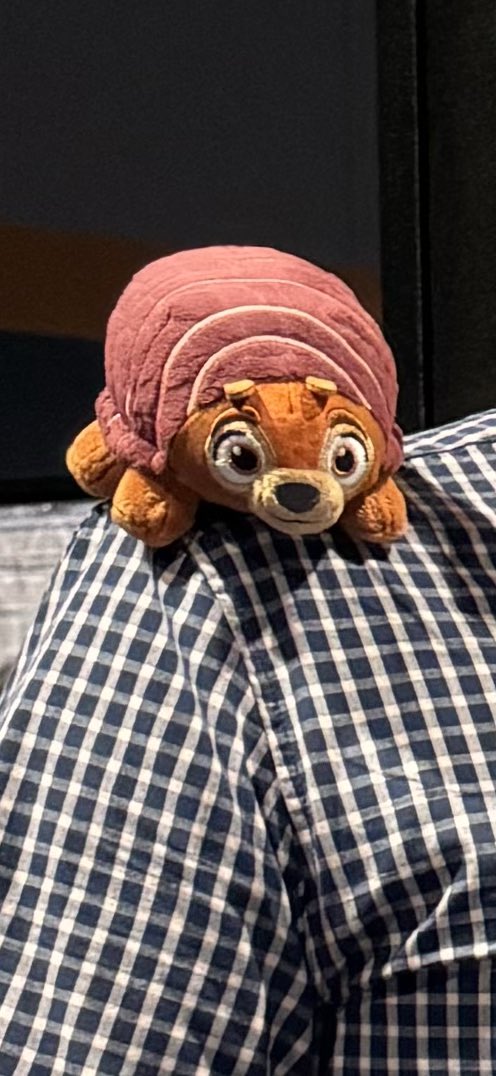 seraji70's tweet image. Presenting Anthony’s @CharlesAEllis01 poster with an armadillo on my shoulder! 🐾 The armadillo not only kept me company but also helped me stay calm and focused😂
@CenterTrends
@IEEEembs
#ConferenceLife
#Research
#SupportiveArmadillo
#EMBC2024