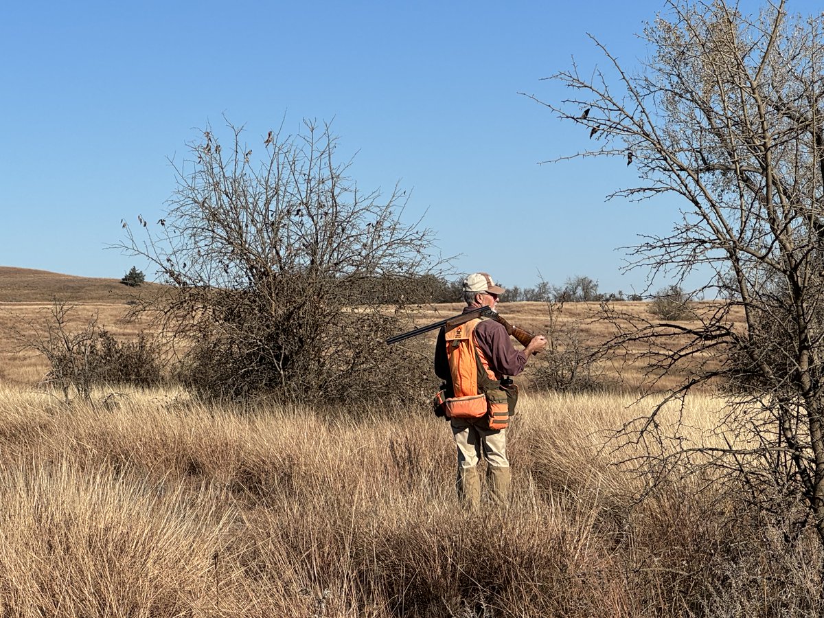 LukeRangeWalker's tweet photo. This is what it feels like to be bobwhite quail hunting.

Last November in Kansas.

Thanks Eddie Beck for being a great guide. https://t.co/6IashUZW7F