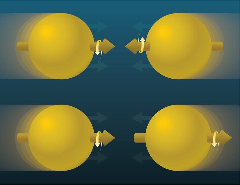 Comparing the number of direct photons emitted when proton spins point in opposite directions (top) with the number emitted when protons collide head-to-tail (bottom) revealed that gluon spins align with the direction of proton spin.
Image courtesy of Brookhaven National Laboratory