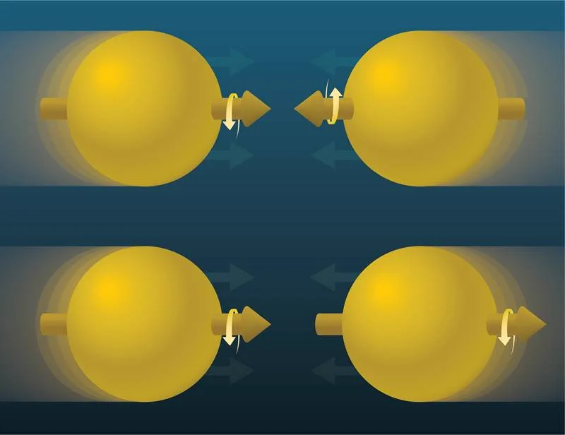 Comparing the number of direct photons emitted when proton spins point in opposite directions (top) with the number emitted when protons collide head-to-tail (bottom) revealed that gluon spins align with the direction of proton spin.
Image courtesy of Brookhaven National Laboratory
