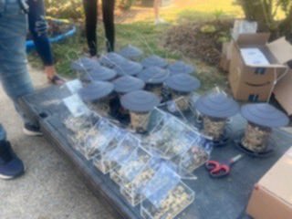 ATTPioneersJCTNCouncil (@attpioneersjctn) on Twitter photo AT&T Pioneers Johnson City Chapter recently delivered and set up around 40 birdhouses with birdseed for NHC Nursing Home in Johnson City. It is one of the residents favorite past time watching the birds. It has been one of their most requested items. <a href="/JCDreamTeam/">Johnson City Call Center</a> AT&T Pioneers Johnson City Chapter recently delivered and set up around 40 birdhouses with birdseed for NHC Nursing Home in Johnson City. It is one of the residents favorite past time watching the birds. It has been one of their most requested items. <a href="/JCDreamTeam/">Johnson City Call Center</a>